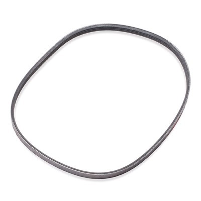 Pasek Klinowy Wielorowkowy RIDEX 305P0441P 305P0441P - foto 4