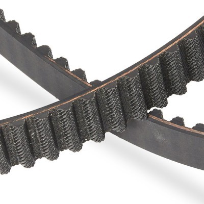 Pasek Rozrządu RIDEX 306T0018P 306T0018P - foto 5