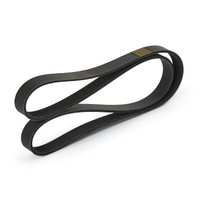Pasek Klinowy Wielorowkowy RIDEX 305P0066P 305P0066P - foto 4