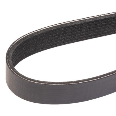 Pasek Klinowy Wielorowkowy RIDEX 305P0439 305P0439 - foto 3