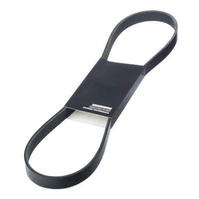 Pasek Klinowy Wielorowkowy RIDEX 305P0398 305P0398 - foto 2