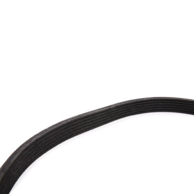 Pasek Klinowy Wielorowkowy RIDEX 305P0358P 305P0358P - foto 5