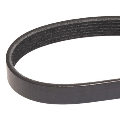 Pasek Klinowy Wielorowkowy RIDEX 305B0283 305B0283 - foto 3