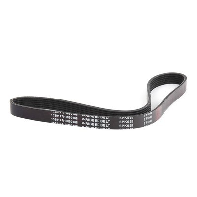Pasek Klinowy Wielorowkowy RIDEX 305P0549 305P0549 - foto 3
