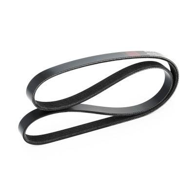 Pasek Klinowy Wielorowkowy RIDEX 305P0152 305P0152 - foto 4