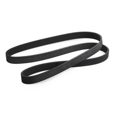 Pasek Klinowy Wielorowkowy RIDEX 305P0114 305P0114 - foto 5