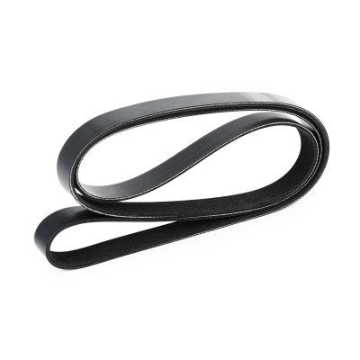 Pasek Klinowy Wielorowkowy RIDEX 305P0234 305P0234 - foto 4