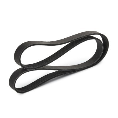 Pasek Klinowy Wielorowkowy RIDEX 305P0239P 305P0239P - foto 4