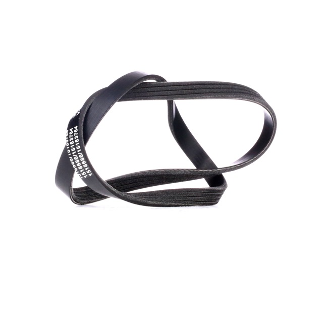 Pasek Klinowy Wielorowkowy RIDEX 305P0434 305P0434 - foto 1