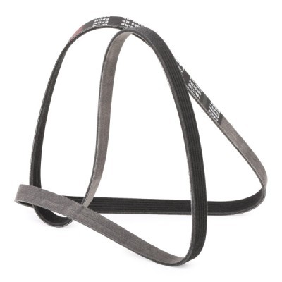 Pasek Klinowy Wielorowkowy RIDEX 305P0208P 305P0208P - foto 3