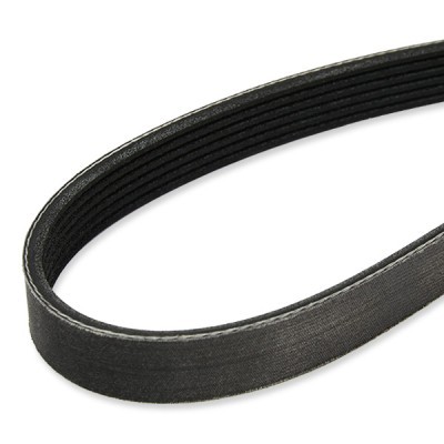 Pasek Klinowy Wielorowkowy RIDEX 305P0170P 305P0170P - foto 4