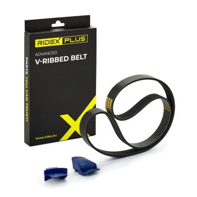 Pasek Klinowy Wielorowkowy RIDEX 305P0116P 305P0116P - foto 2