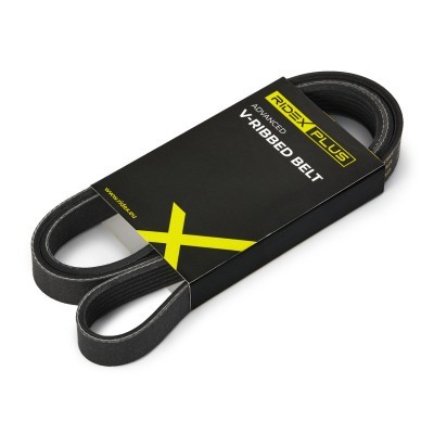 Pasek Klinowy Wielorowkowy RIDEX 305P0173P 305P0173P - foto 2
