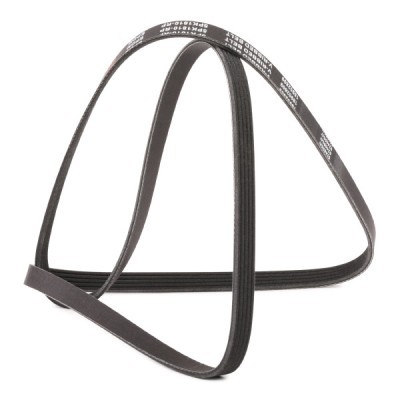 Pasek Klinowy Wielorowkowy RIDEX 305P0353P 305P0353P - foto 3