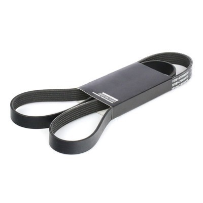 Pasek Klinowy Wielorowkowy RIDEX 305P0144 305P0144 - foto 2