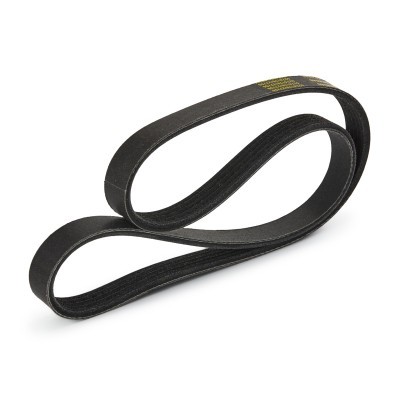 Pasek Klinowy Wielorowkowy RIDEX 305P0029P 305P0029P - foto 4