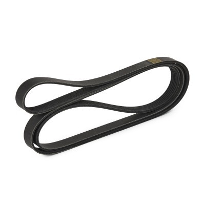 Pasek Klinowy Wielorowkowy RIDEX 305P0103P 305P0103P - foto 4