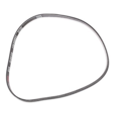 Pasek Klinowy Wielorowkowy RIDEX 305P0398P 305P0398P - foto 5