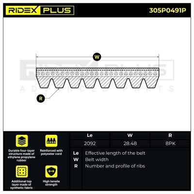 Pasek Klinowy Wielorowkowy RIDEX 305P0491P 305P0491P - foto 3