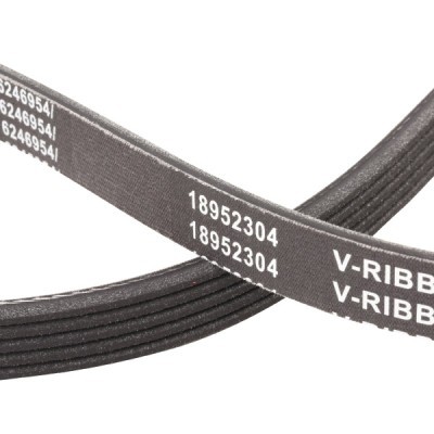 Pasek Klinowy Wielorowkowy RIDEX 305P0149P 305P0149P - foto 5