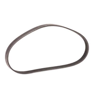 Pasek Klinowy Wielorowkowy RIDEX 305P0049P 305P0049P - foto 3