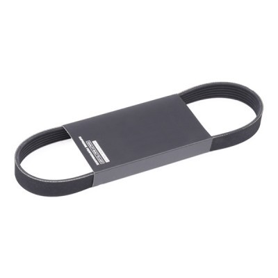 Pasek Klinowy Wielorowkowy RIDEX 305P0495 305P0495 - foto 2