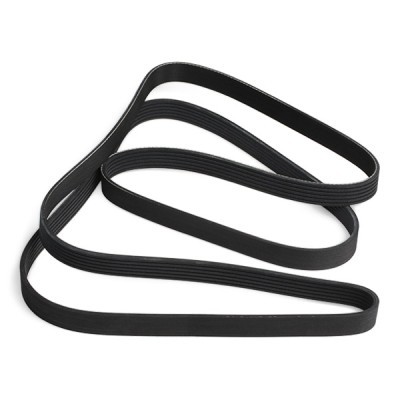 Pasek Klinowy Wielorowkowy RIDEX 305P0128 305P0128 - foto 5