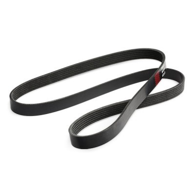 Pasek Klinowy Wielorowkowy RIDEX 305P0127 305P0127 - foto 4