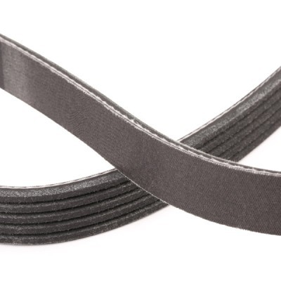 Pasek Klinowy Wielorowkowy RIDEX 305P0353P 305P0353P - foto 5