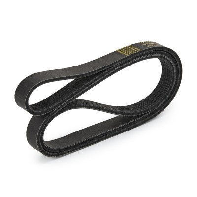 Pasek Klinowy Wielorowkowy RIDEX 305P0070P 305P0070P - foto 4