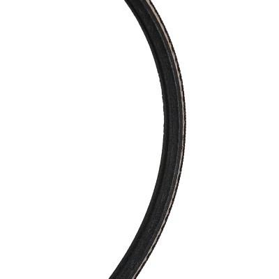 Pasek Klinowy Wielorowkowy RIDEX 305P0649 305P0649 - foto 4