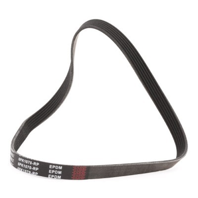 Pasek Klinowy Wielorowkowy RIDEX 305P0056P 305P0056P - foto 3