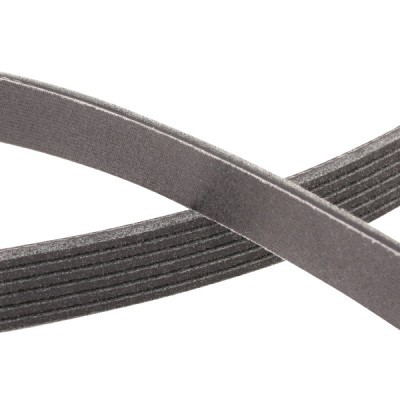 Pasek Klinowy Wielorowkowy RIDEX 305P0531P 305P0531P - foto 5