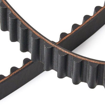 Pasek Rozrządu RIDEX 306T0250P 306T0250P - foto 5
