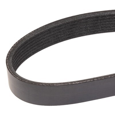 Pasek Klinowy Wielorowkowy RIDEX 305P0347 305P0347 - foto 3