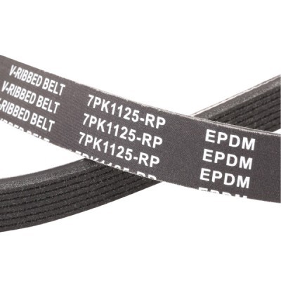 Pasek Klinowy Wielorowkowy RIDEX 305P0129P 305P0129P - foto 5