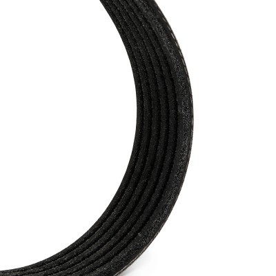 Pasek Klinowy Wielorowkowy RIDEX 305P0169P 305P0169P - foto 5