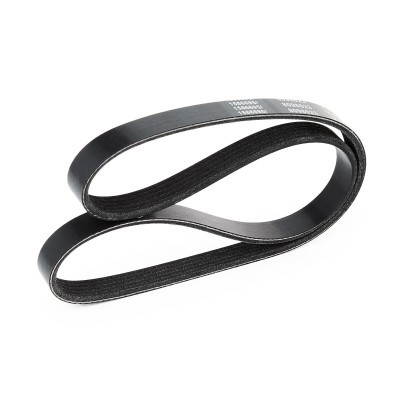 Pasek Klinowy Wielorowkowy RIDEX 305P0029 305P0029 - foto 4