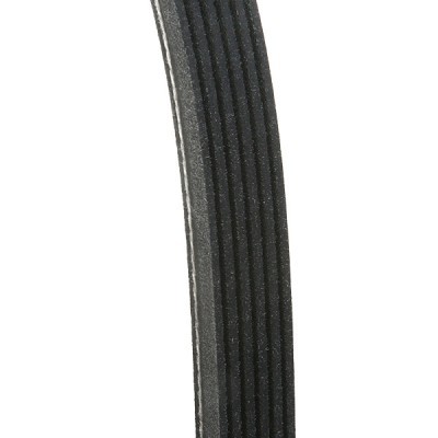 Pasek Klinowy Wielorowkowy RIDEX 305P0235 305P0235 - foto 4