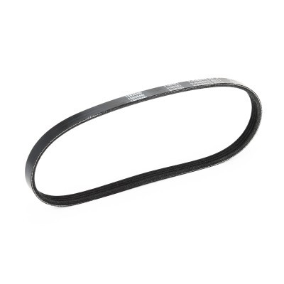Pasek Klinowy Wielorowkowy RIDEX 305P0006 305P0006 - foto 4