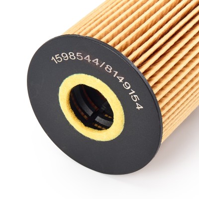 Filtr Oleju RIDEX 7O0124 7O0124 - foto 9