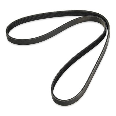 Pasek Klinowy Wielorowkowy RIDEX 305P0170P 305P0170P - foto 3
