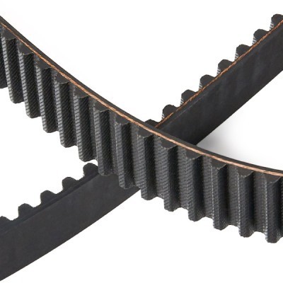 Pasek Rozrządu RIDEX 306T0116P 306T0116P - foto 5