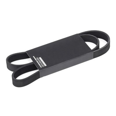 Pasek Klinowy Wielorowkowy RIDEX 305P0428 305P0428 - foto 2