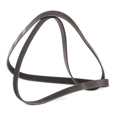 Pasek Klinowy Wielorowkowy RIDEX 305P0086P 305P0086P - foto 3