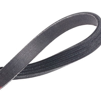 Pasek Klinowy Wielorowkowy RIDEX 305P0502P 305P0502P - foto 5