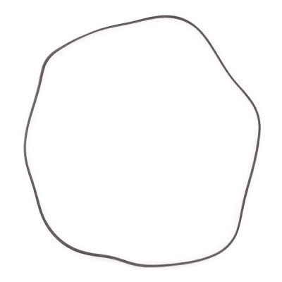 Pasek Klinowy Wielorowkowy RIDEX 305P0095P 305P0095P - foto 4
