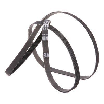 Pasek Klinowy Wielorowkowy RIDEX 305P0216P 305P0216P - foto 3