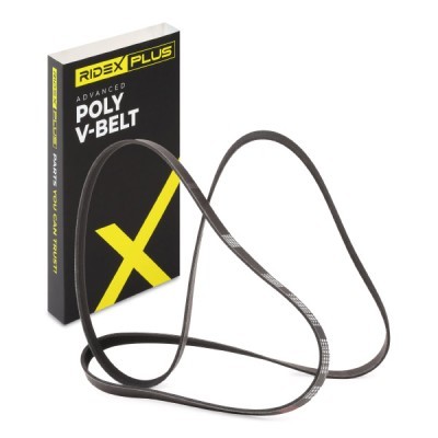 Pasek Klinowy Wielorowkowy RIDEX 305P0178P 305P0178P - foto 2