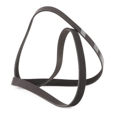 Pasek Klinowy Wielorowkowy RIDEX 305P0323P 305P0323P - foto 4